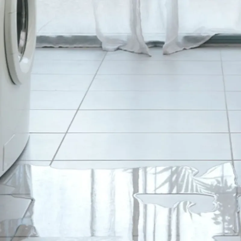 Appliance Leak Cleanup in Pickens County, GA