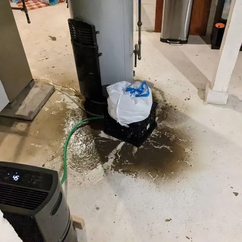 Sewage Backup Cleanup Service in Pickens County, GA
